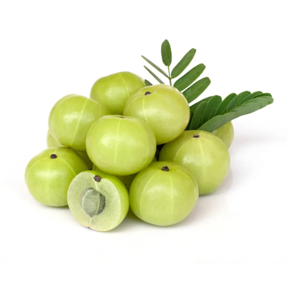 Buy Gooseberry (Amla) Seeds Online – SeedVanam