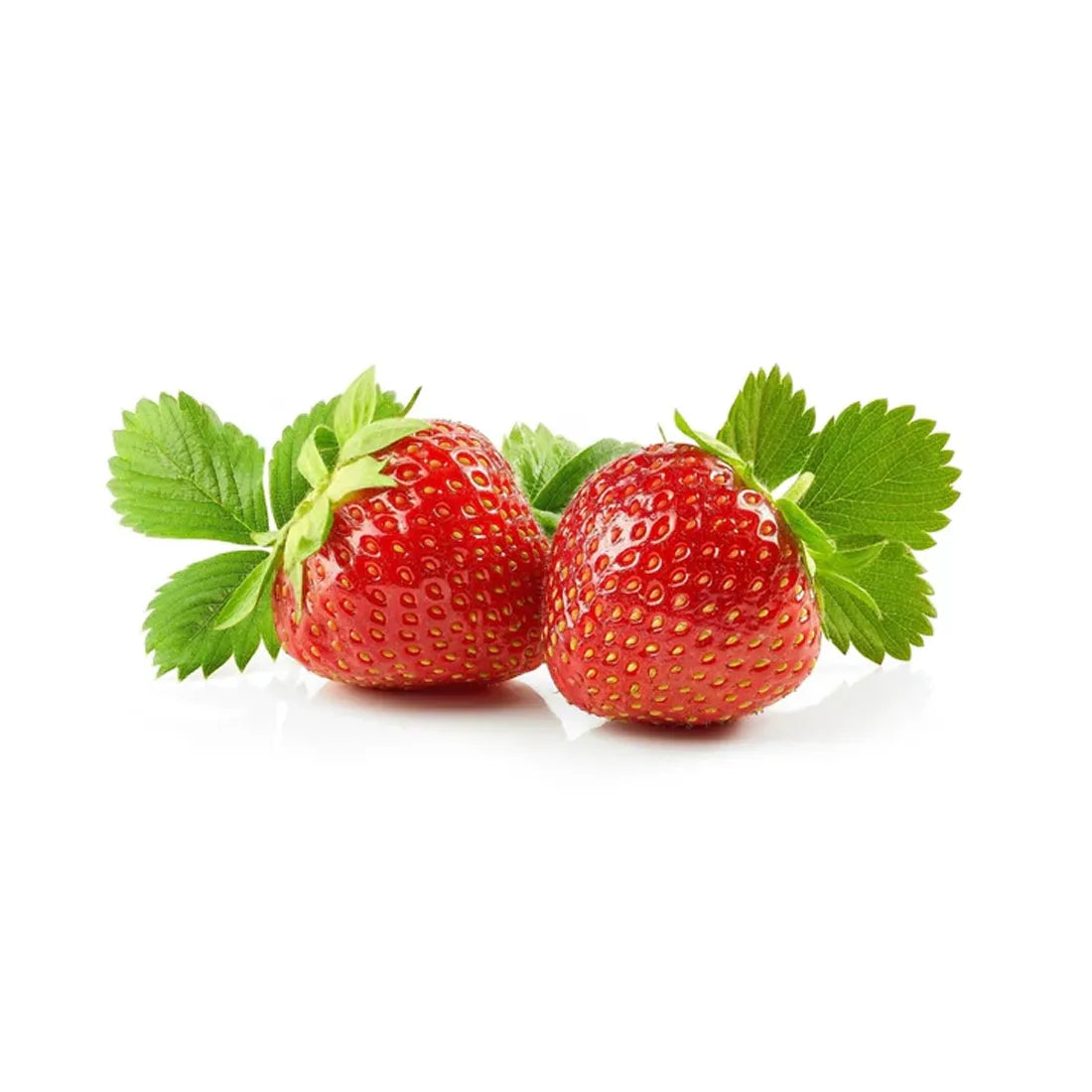 strawberry seeds in india Buy Strawberry Seeds Online in India – SeedVanam