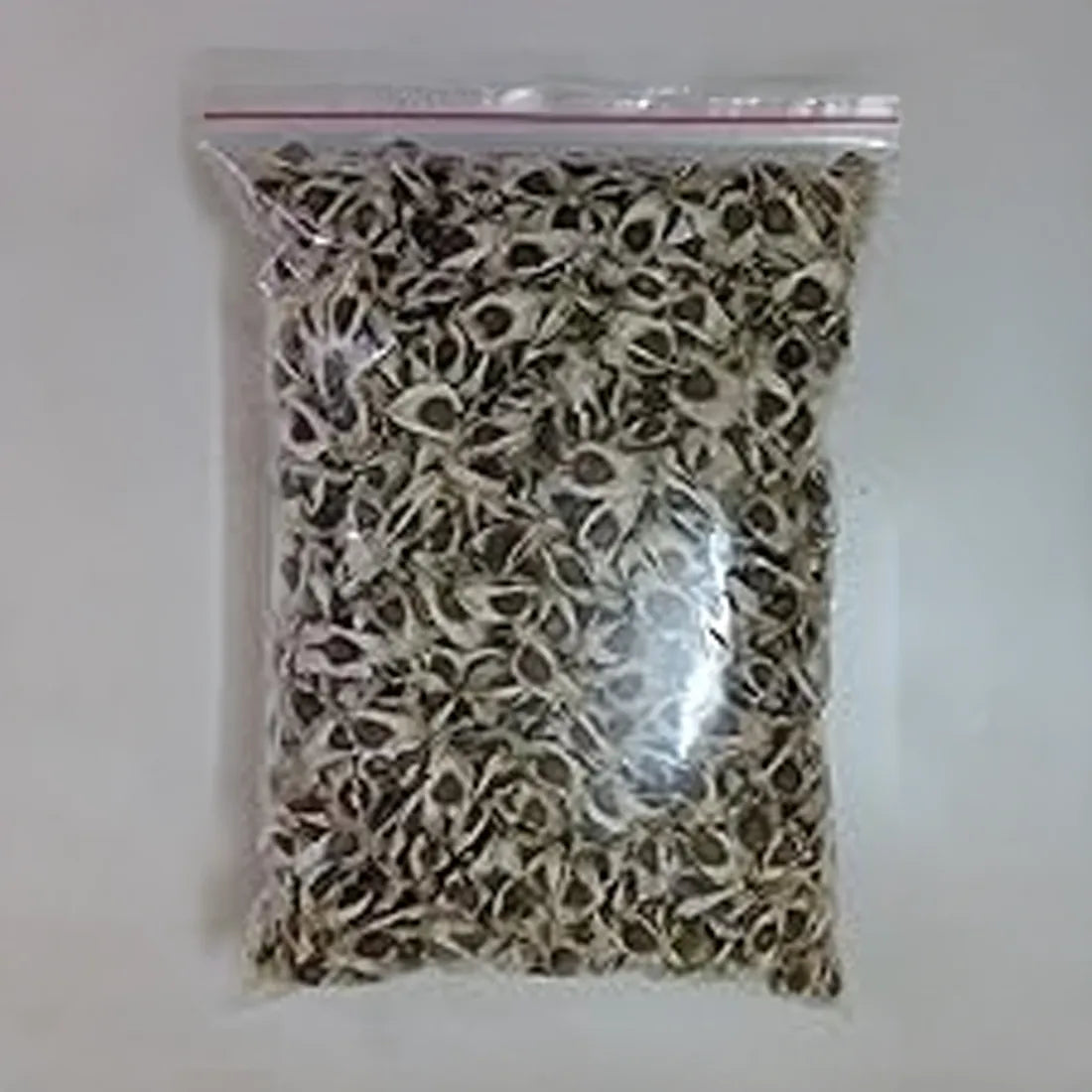 Stock (Double Dwarf) Seeds