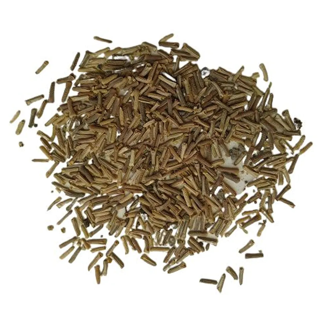 Verbena Mixed Seeds