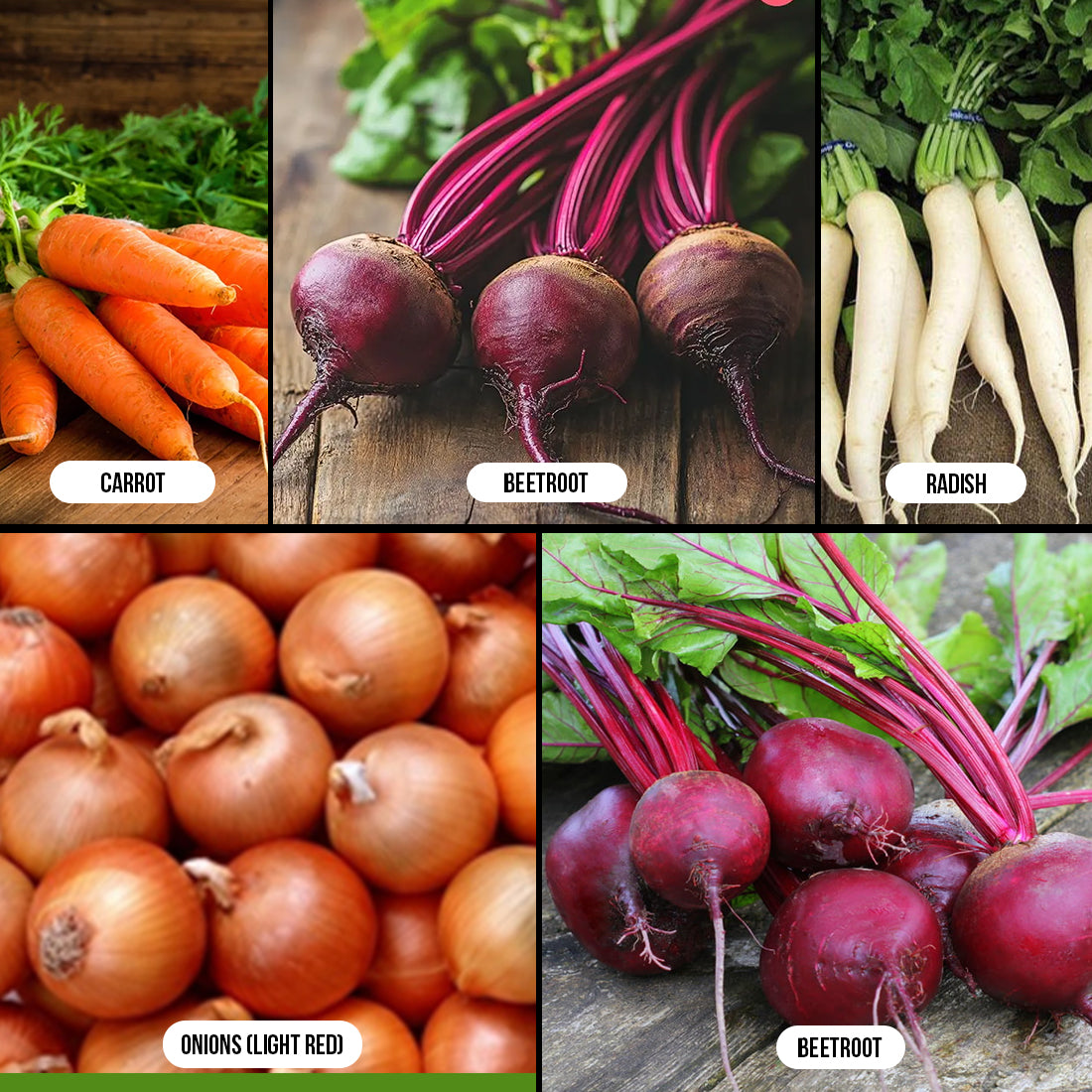 Root Vegetables Combo