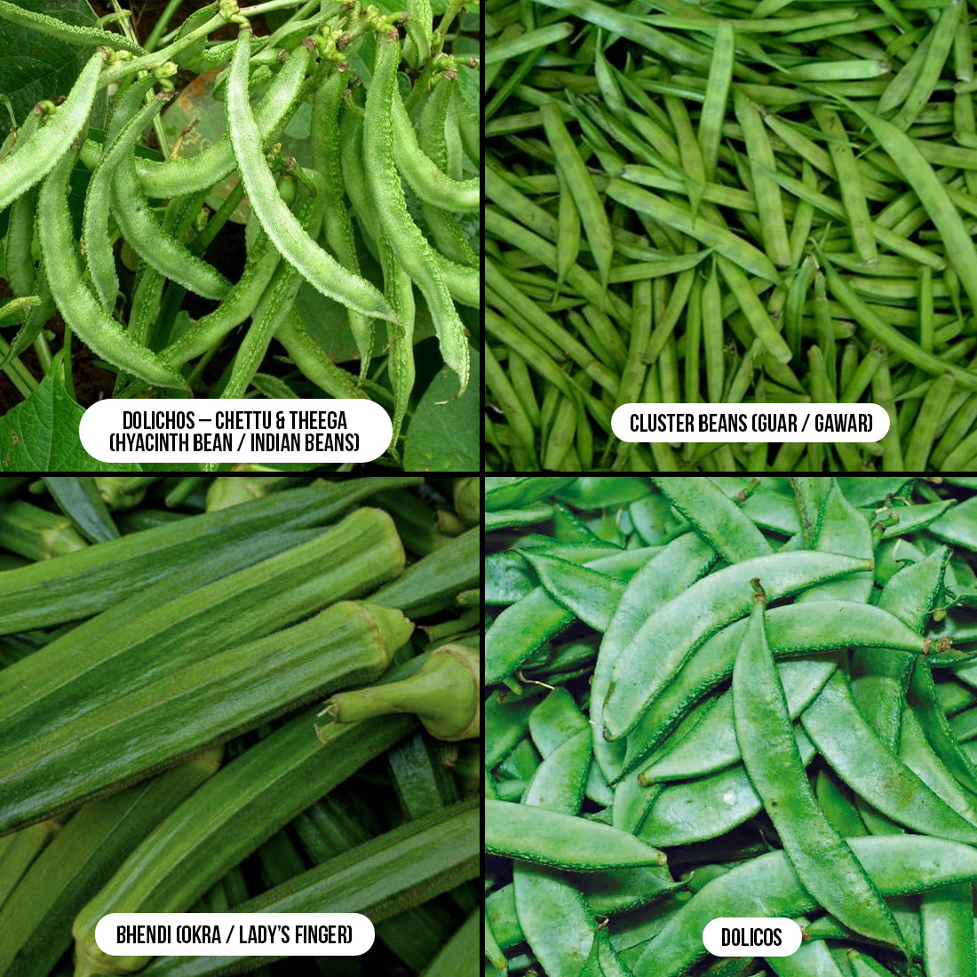 Beans & Legumes Combo