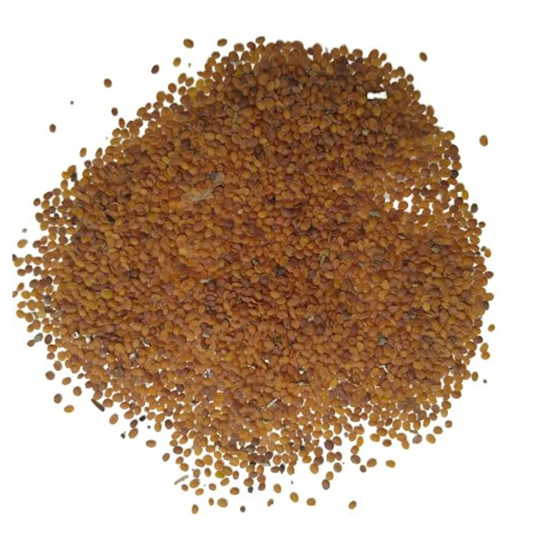 Alyssum Seeds