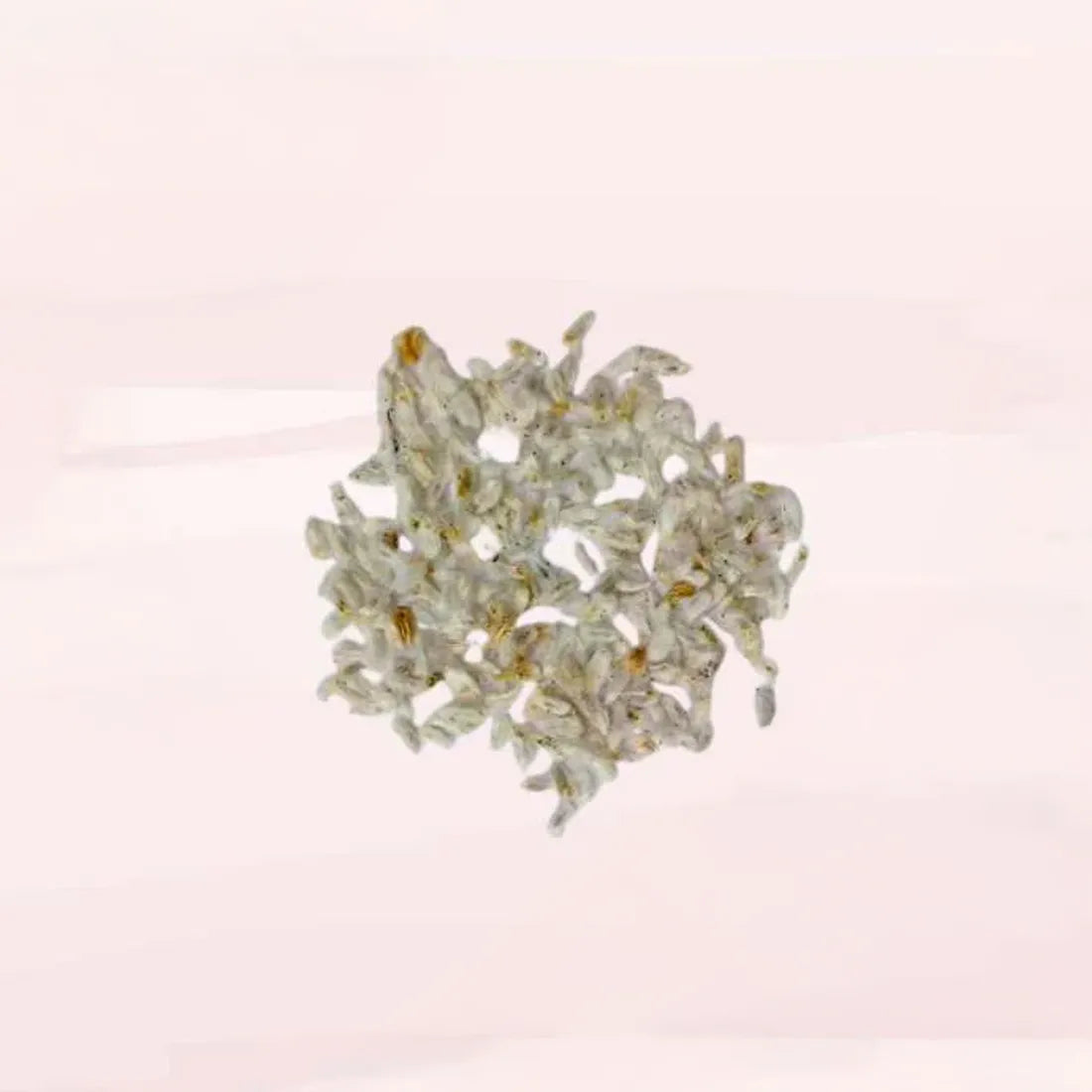 Acroclininium (Double Mix) Seeds