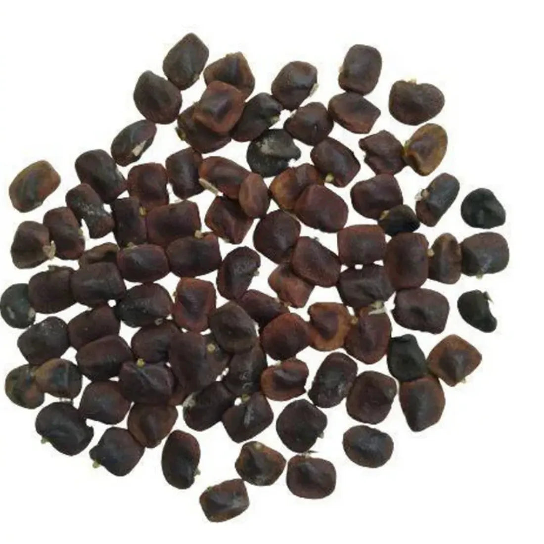 Aparajita / Butterfly Pea Blue Seeds