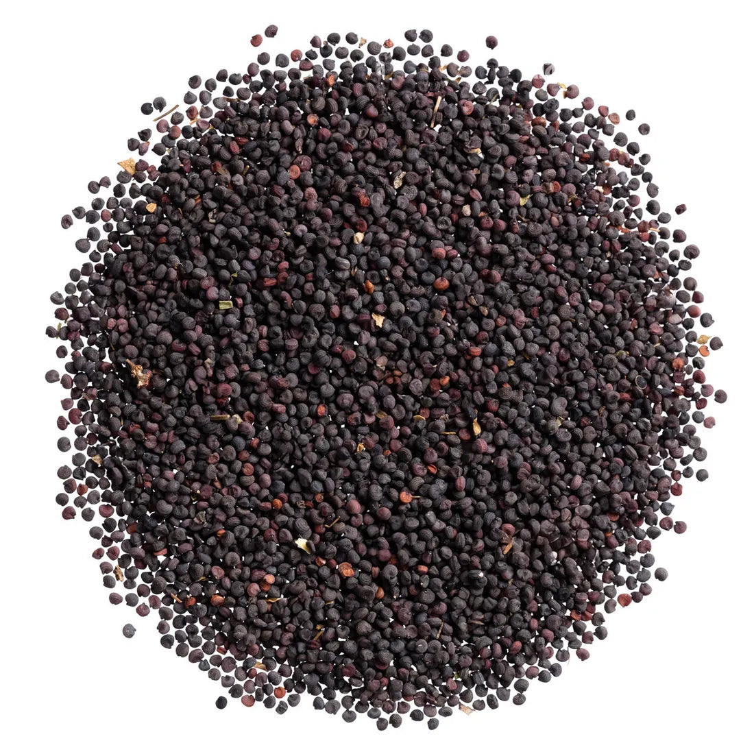 Buy Gypsophila Seeds Online from Seedvanam