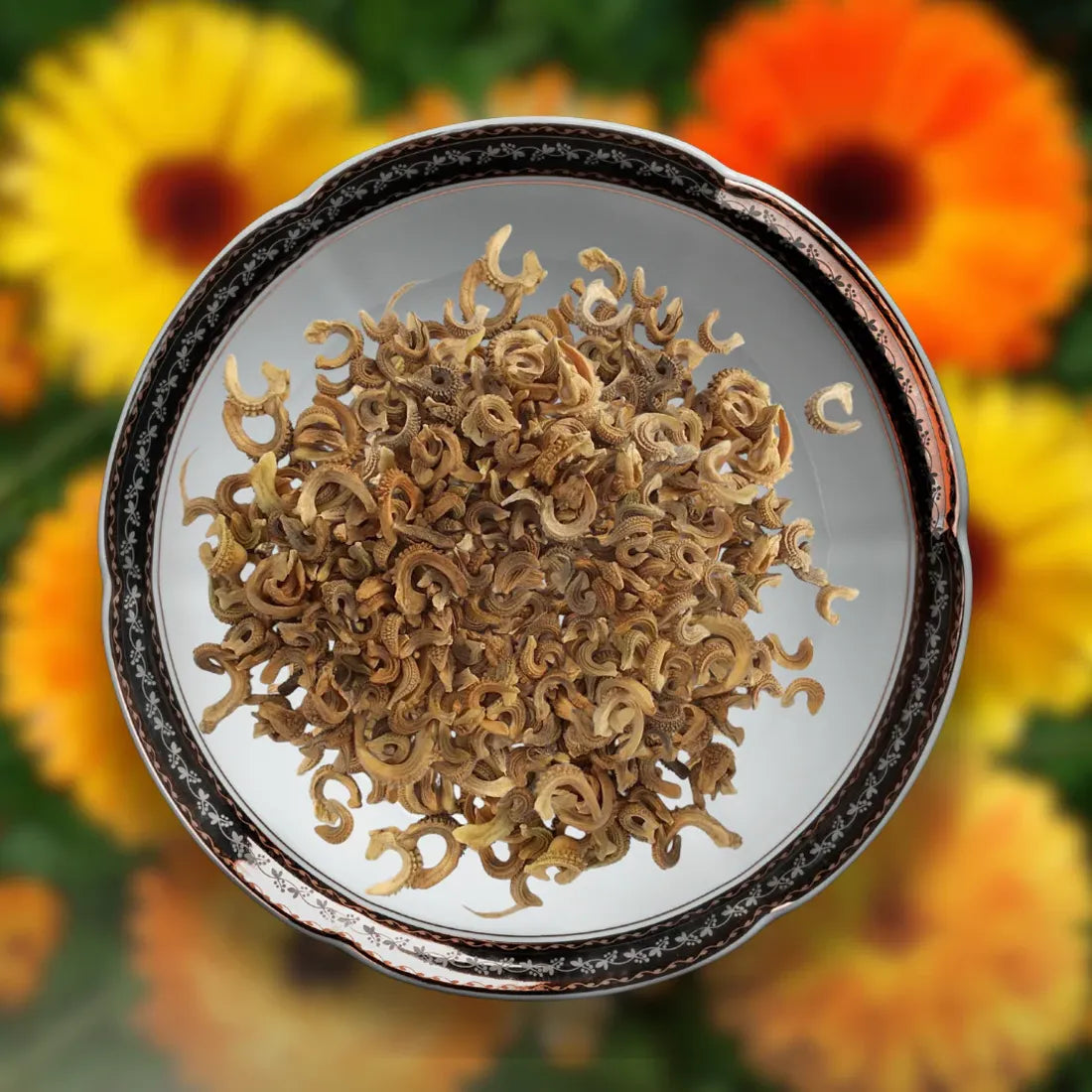 buy non-hybrid calendula seeds online in India