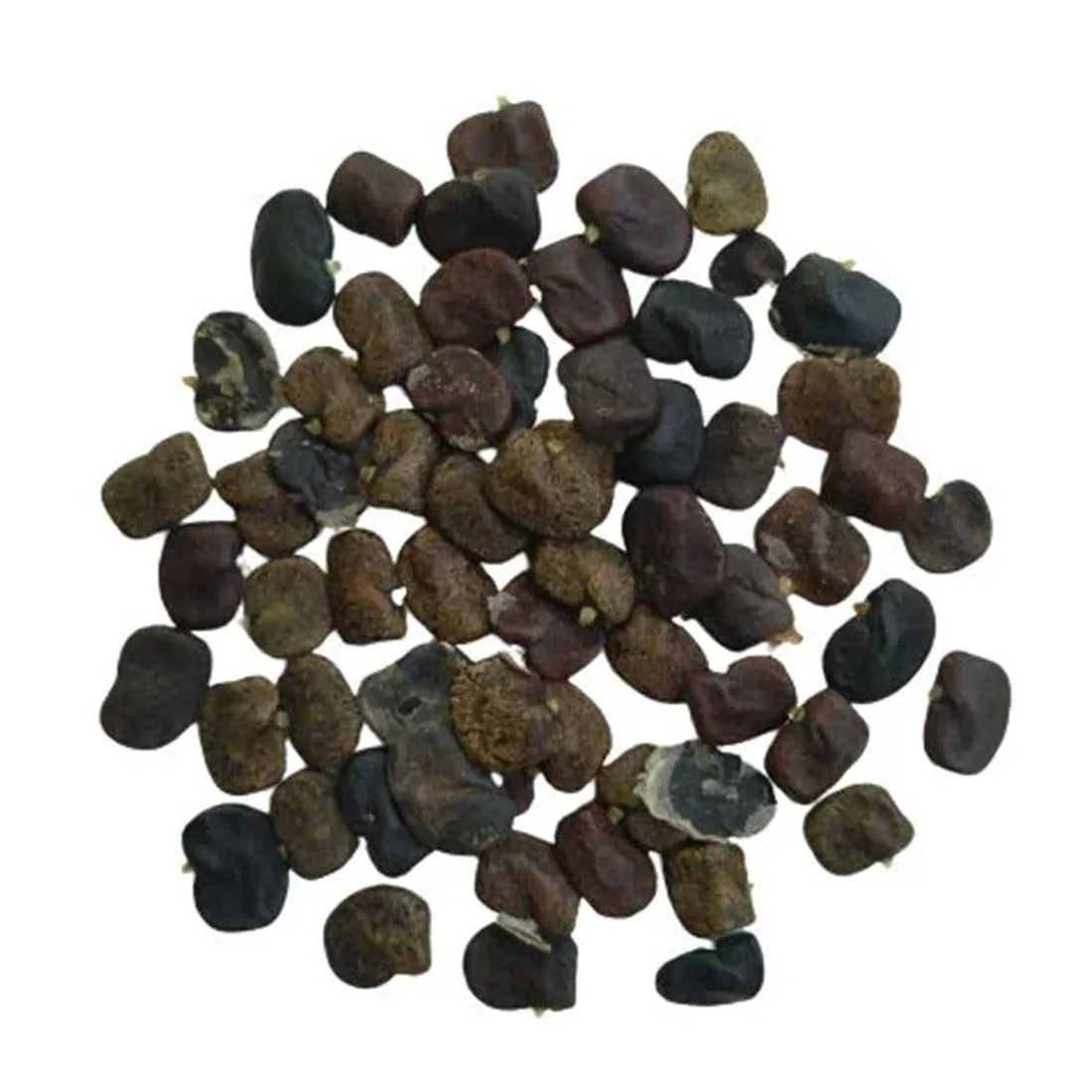 Aparajita / Butterfly Pea Seeds