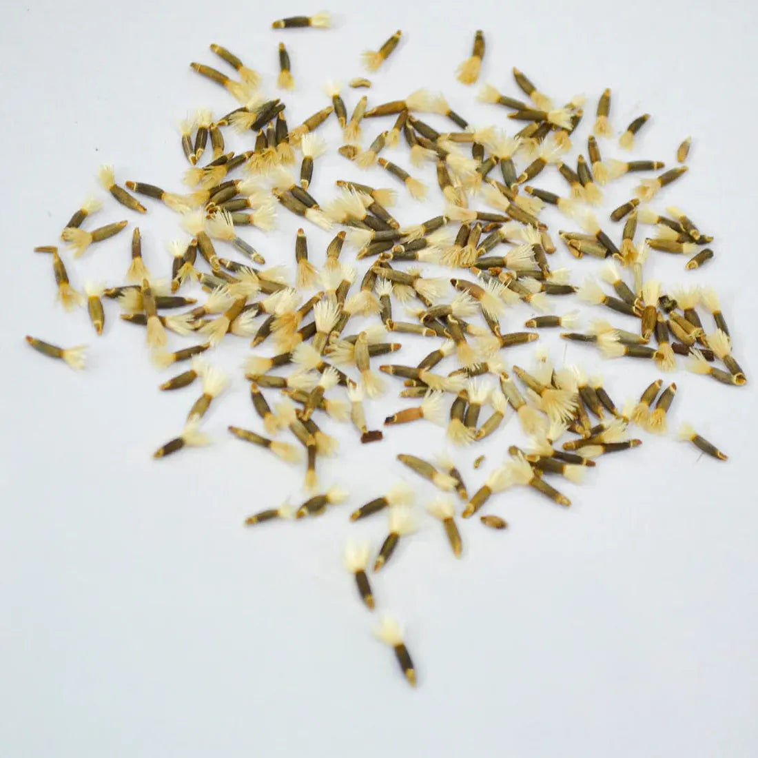 Sweet Sultan Seeds