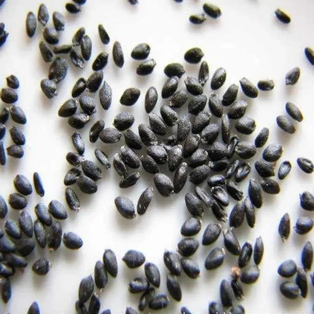 Dragon Fruit Seeds online