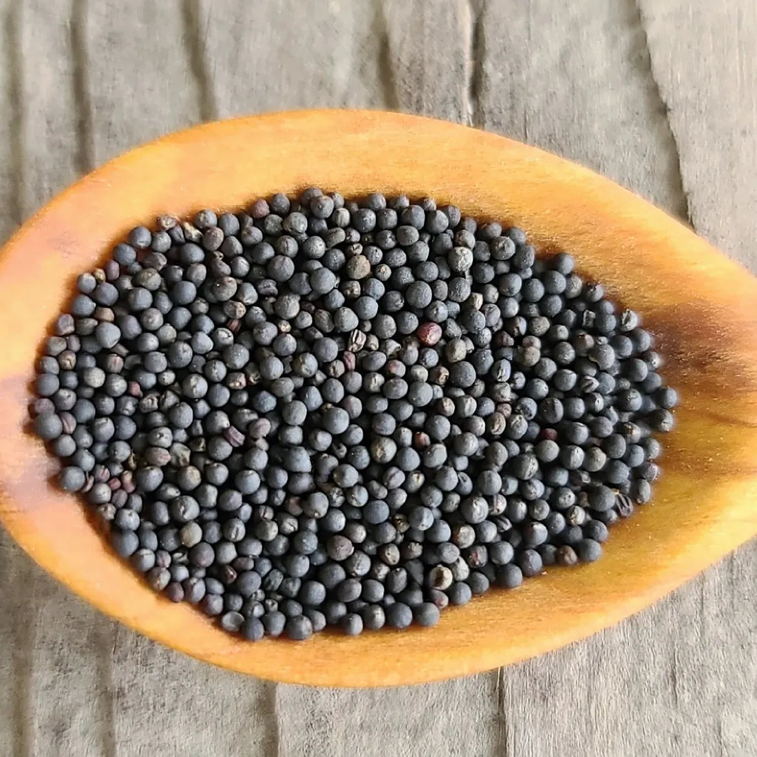 Kale (Fringed Leaves) Seeds