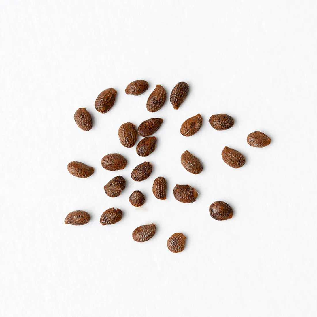 Buy Kiwi Seeds online
