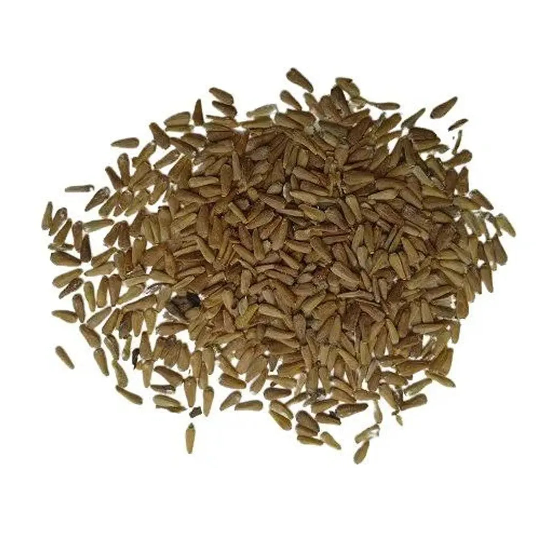Aster Princess Seeds