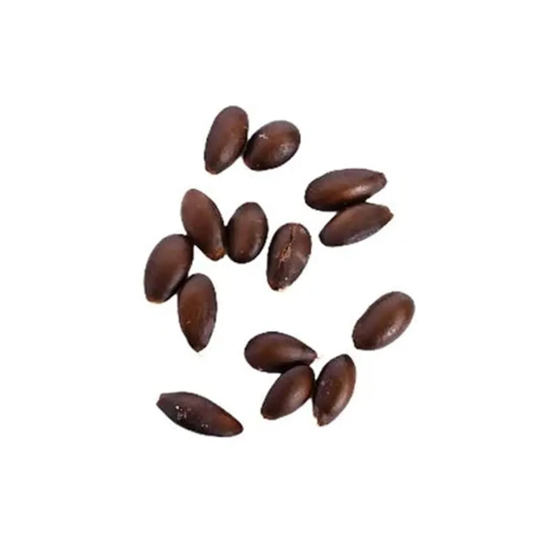buy apple seeds online