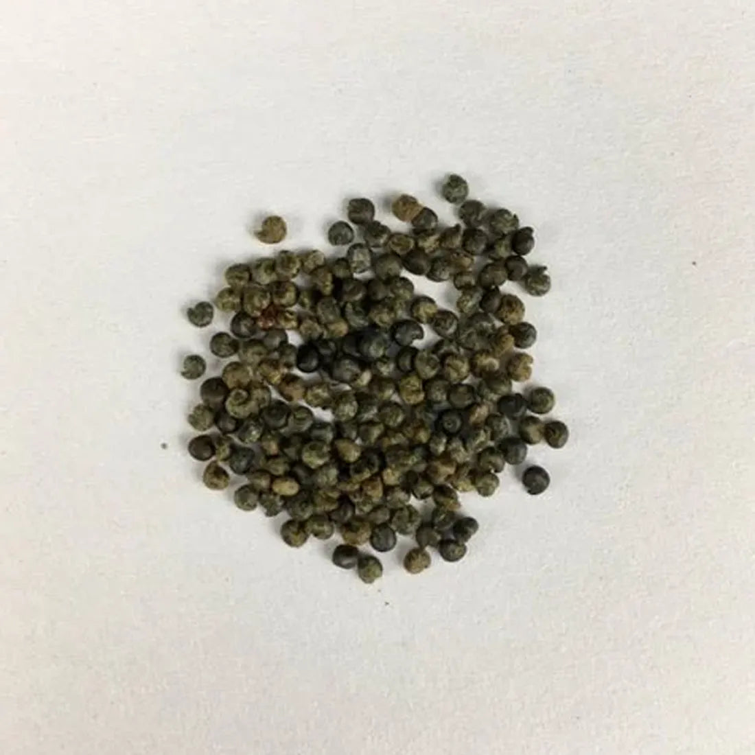 Cleome (Spinosa Mix) Seeds