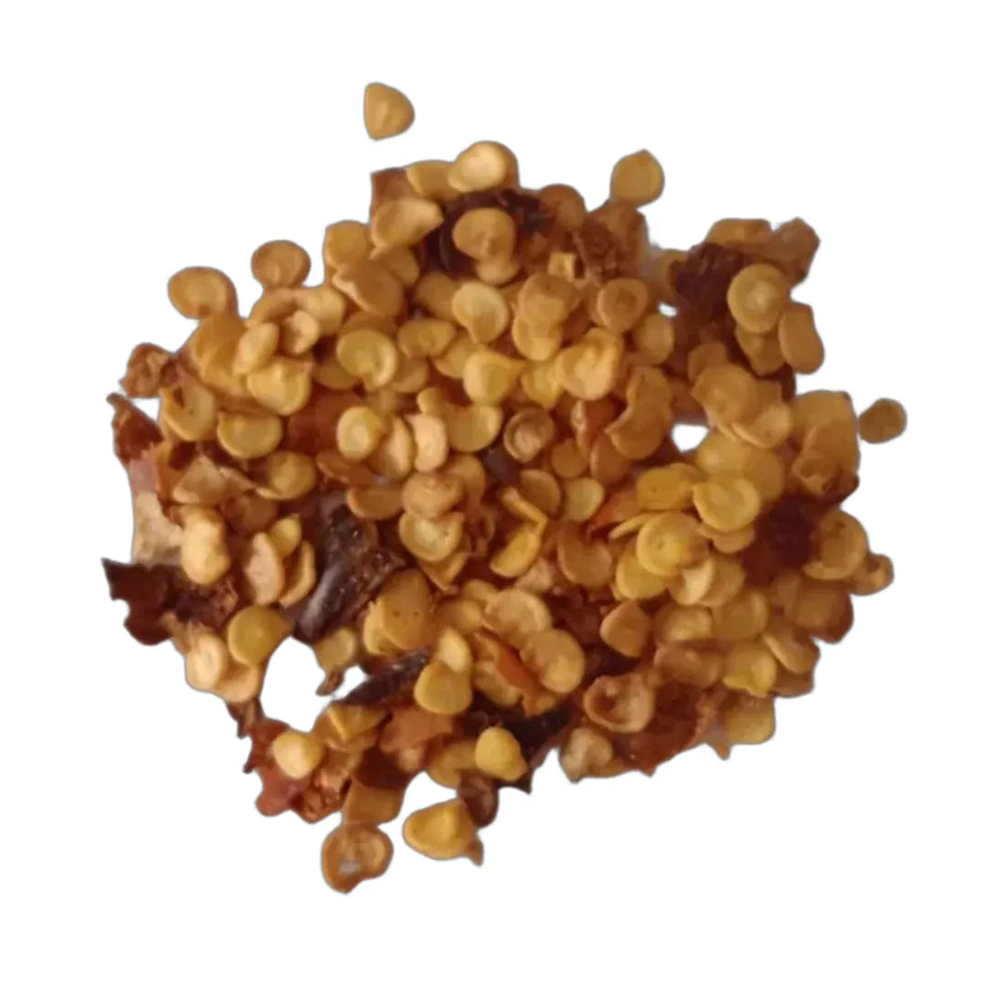 Ornamental Chilli (Choice Round Mix) Seeds