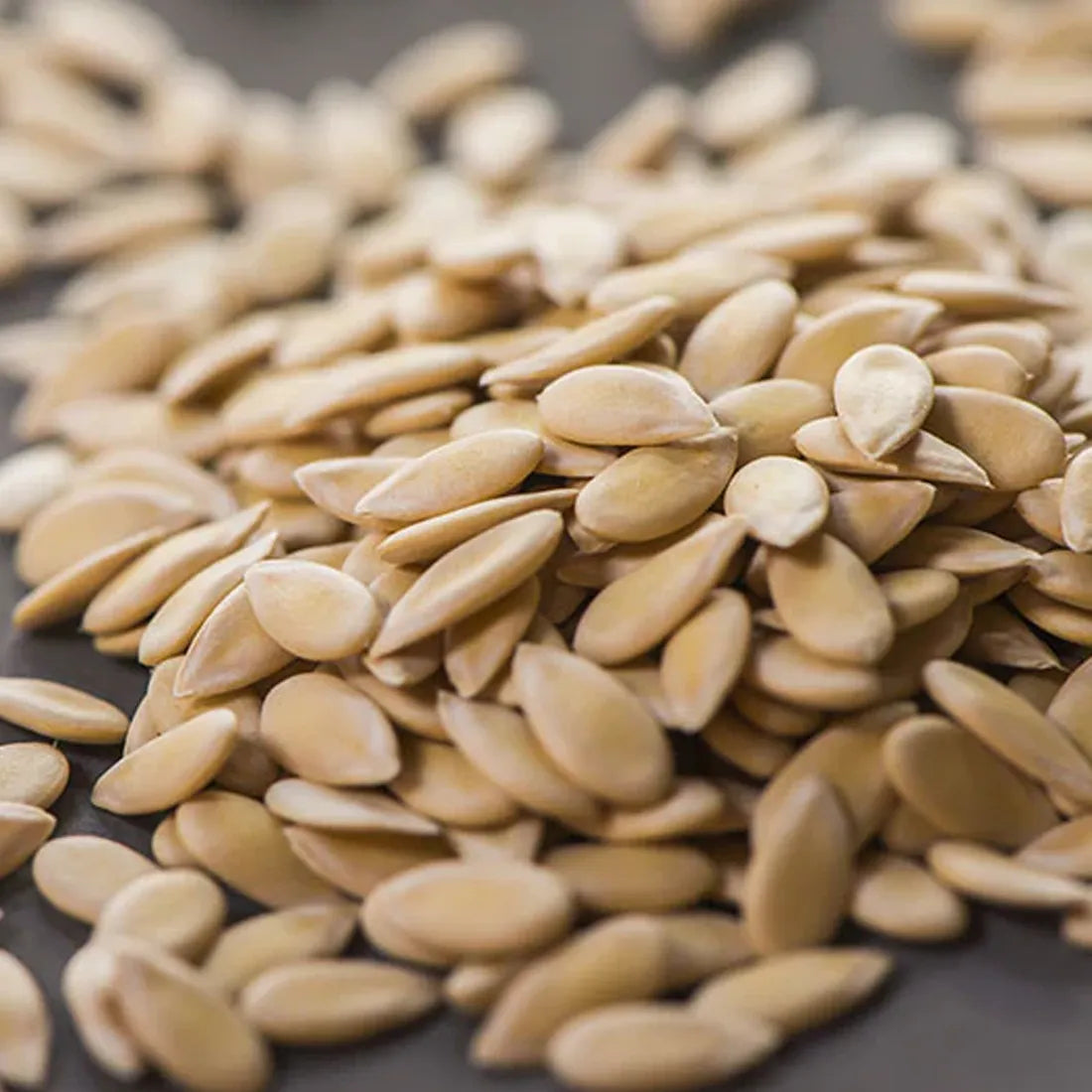 premium-quality muskmelon seeds