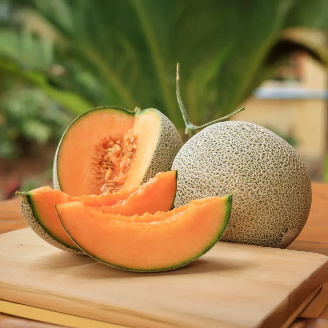 Kharbuja Seeds online in India