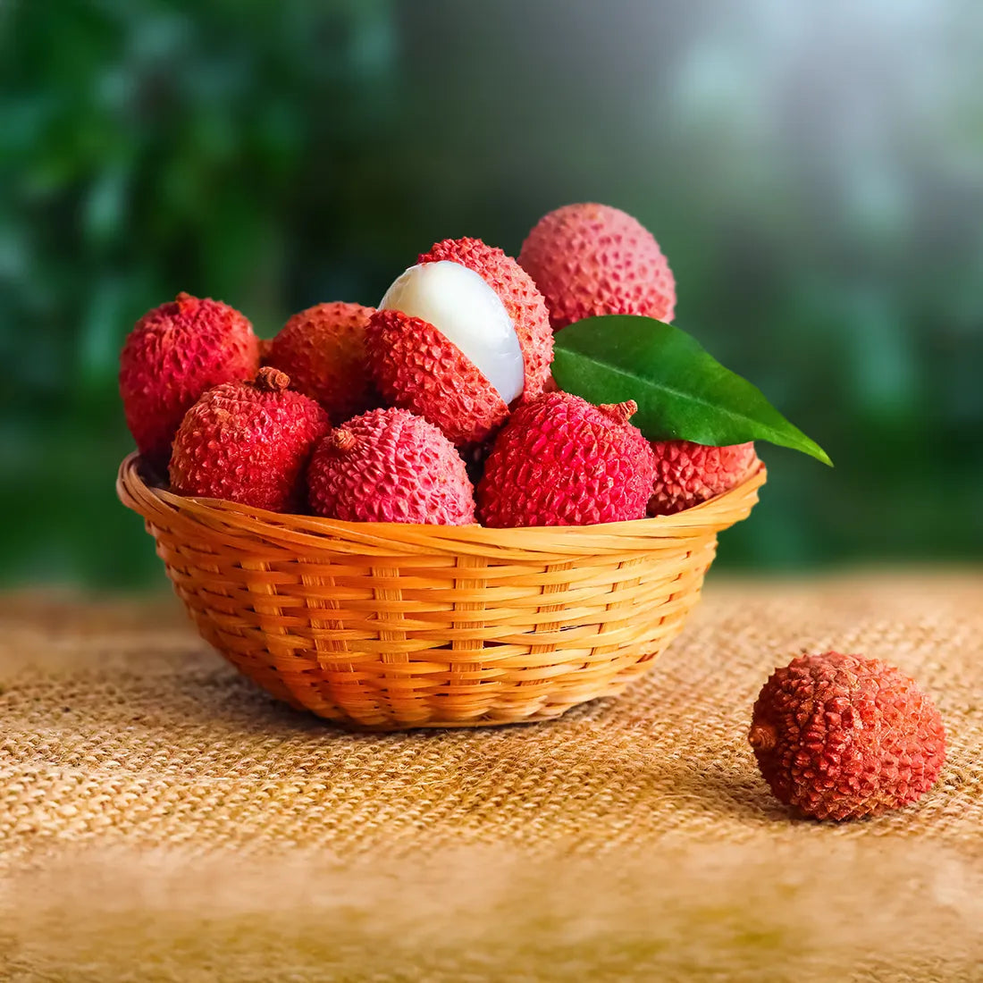 premium-quality litchi seeds online from seedvanam