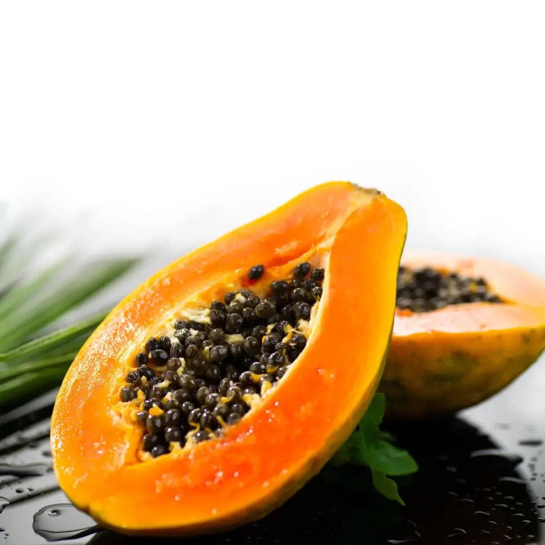 Buy high-quality papaya seeds