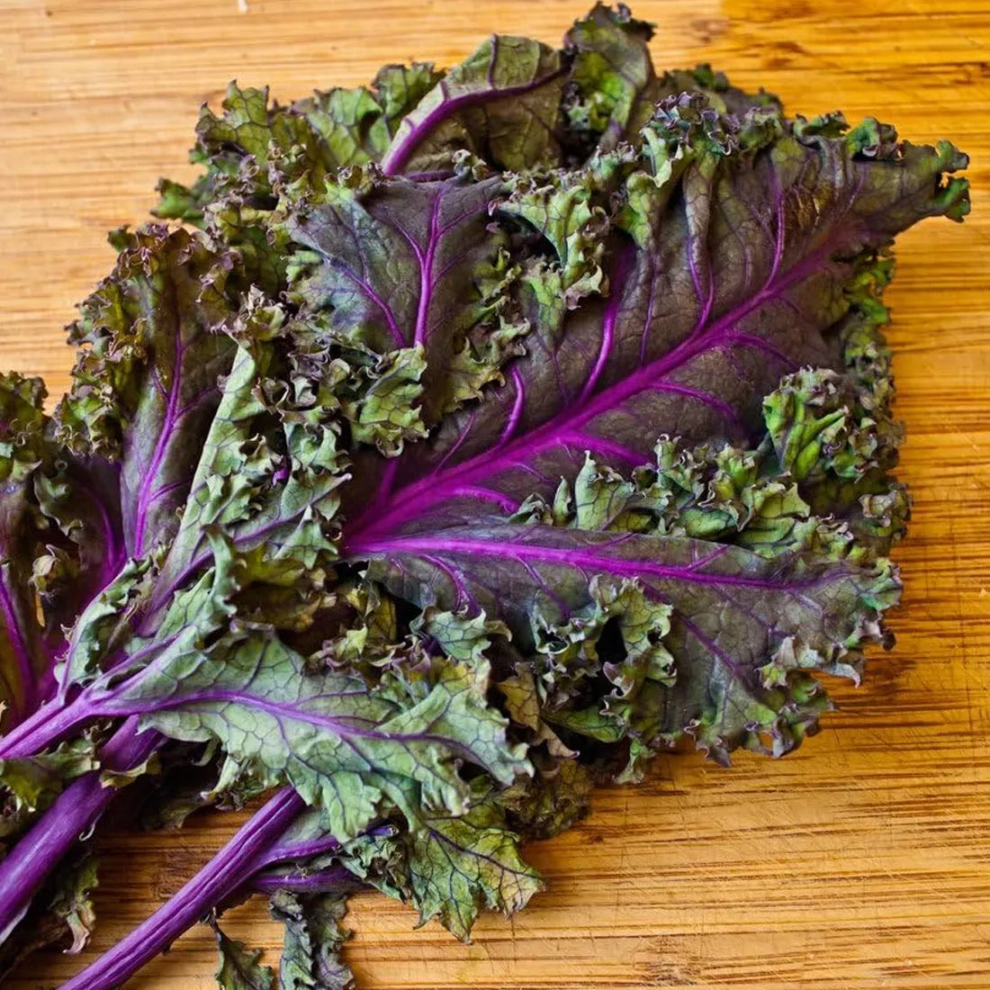 Kale ( Round Leaves ) Seeds