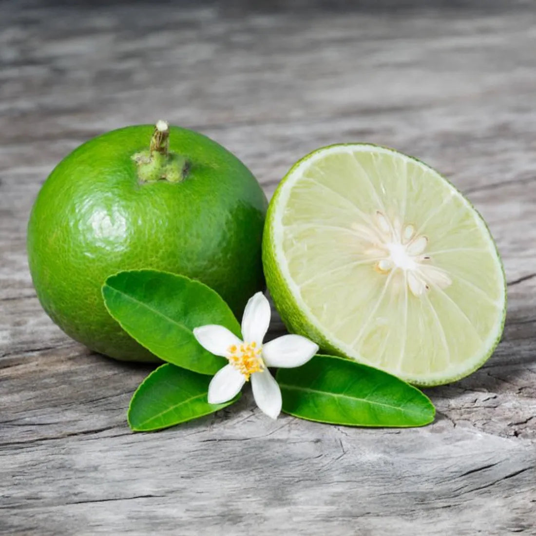 Buy lime seeds online