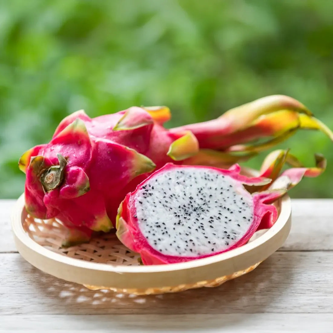 high-quality dragon fruit seeds online