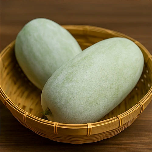 Ash Gourd (Boodida Gummadikaya / Petha) Seeds | पेठा के बीज | బూడిద గుమ్మడికాయ గింజలు