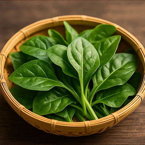 Bachhali (Malabar Spinach) Seeds | बछली के बीज | బచ్చలి కూర గింజలు