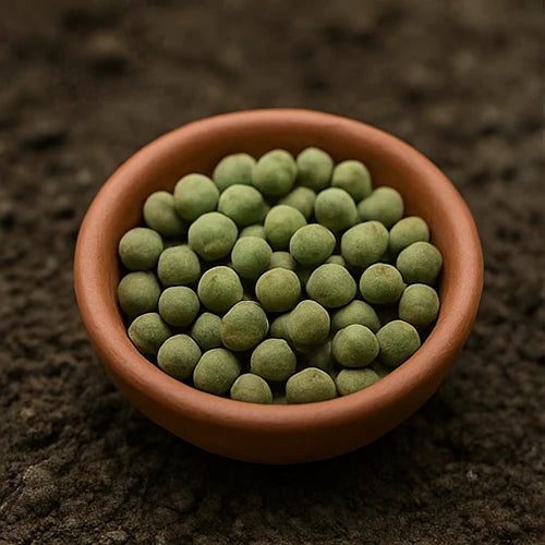 Bhendi ( Okra / Lady’s Finger ) Seeds