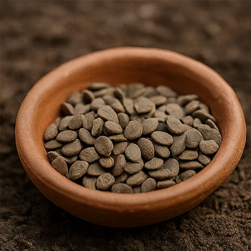 Brinjal (Black) Seeds | बैंगन के बीज | నల్ల వంకాయ గింజలు