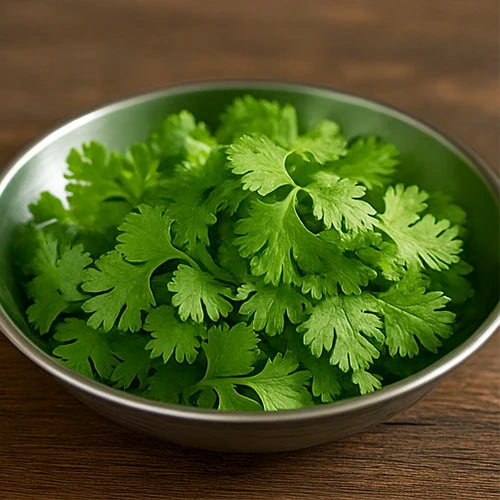 Coriander (Dhaniya) Seeds | धनिया के बीज | కొత్తిమీర గింజలు