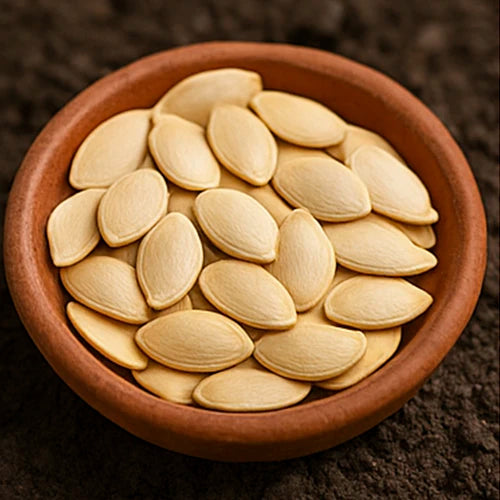 Pumpkin (Gummadikaya / Kaddu) Seeds | कद्दू के बीज | గుమ్మడికాయ గింజలు