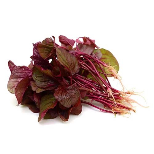 Buy Pure Leafy Vegetable Seeds Combo