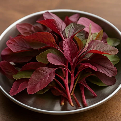 Red Amaranthus (Thotakura) Seeds | लाल चौलाई के बीज | ఎర్ర తోటకూర గింజలు