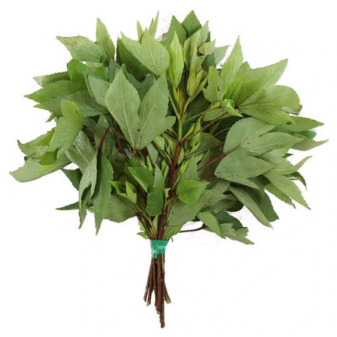 Buy Roselle (Gongura) Seeds Online in India