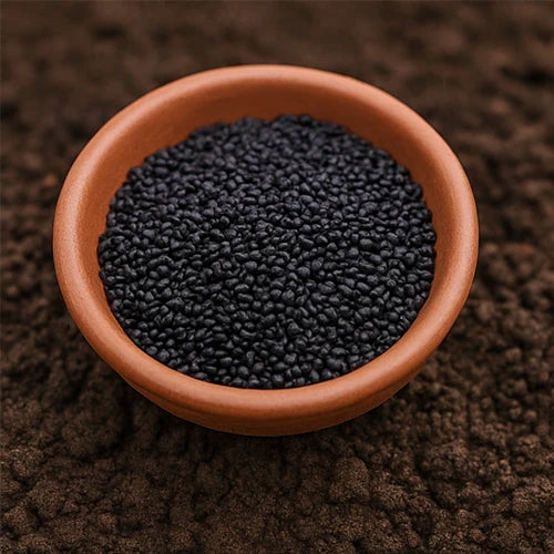 Sirikura (Purslane) Seeds | कुलफा के बीज | సిర్రికూర గింజలు