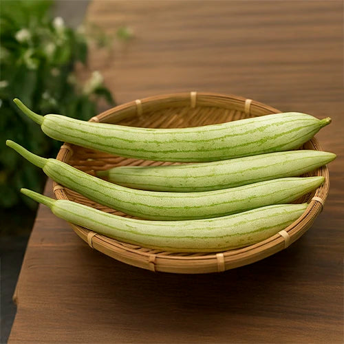 Snakegourd (Potlakaya / Chichinda) Seeds | चिचिंडा के बीज | పొట్లకాయ గింజలు