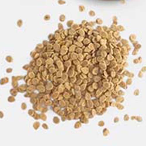 Tomato Seeds