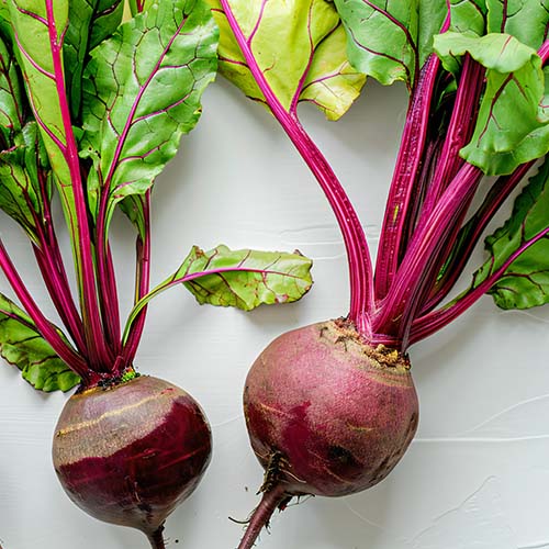 Fruits & Root Vegetables Collection (4 products combo)