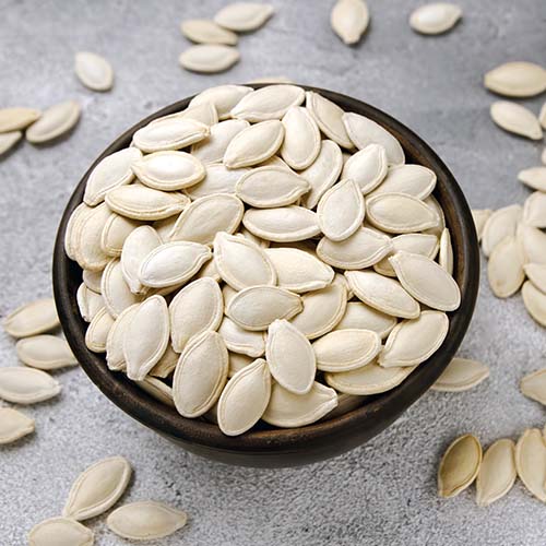 Ash Gourd ( Boodida Gummadikaya / Petha ) Seeds