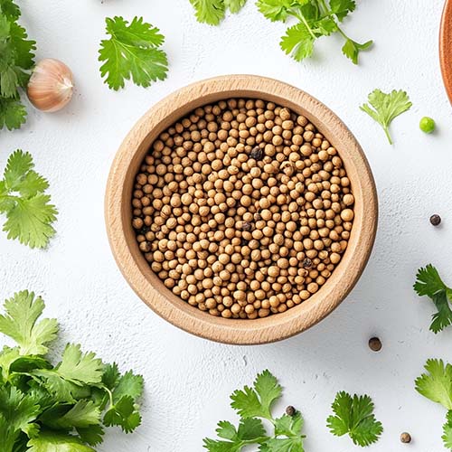 Coriander ( Dhaniya ) Seeds
