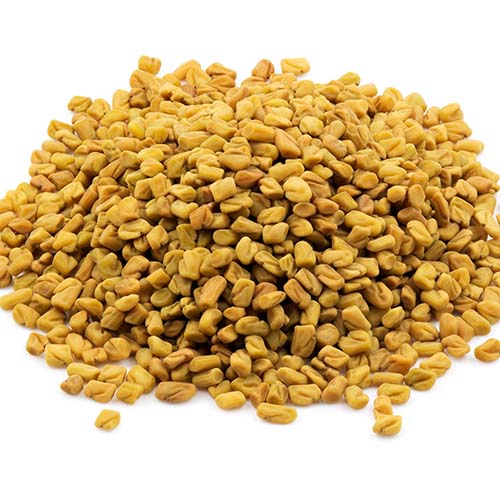 Methi ( Fenugreek ) Seeds