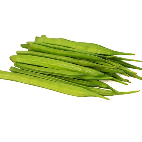 Cluster Beans ( Guar / Gawar ) Seeds