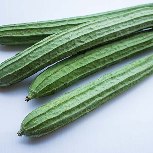 Ridgegourd ( Beerakaya / Turai ) Seeds