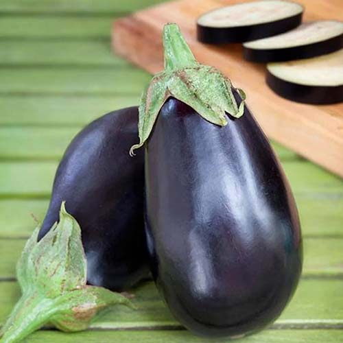 Brinjal ( Black ) Seeds