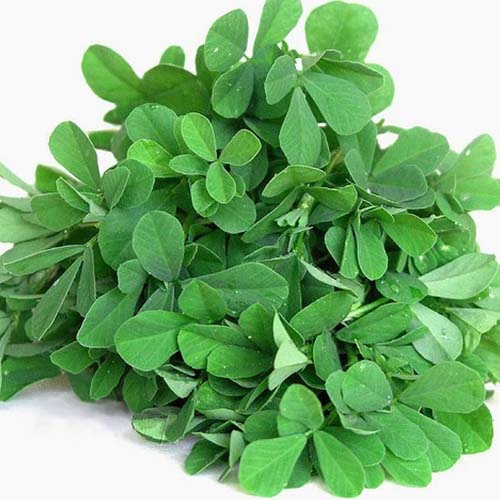 Buy Summer Greens Seeds Combo Online