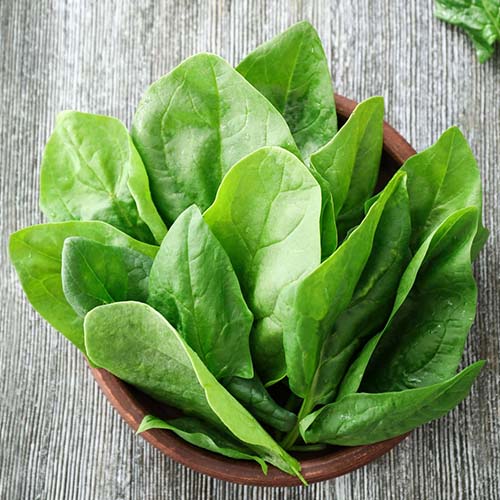 Buy Pure Leafy Vegetable Seeds Combo