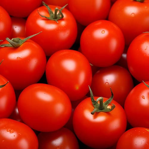 Leafy Head Vegetable Seeds Combo – Winter Collection (4-in-1)